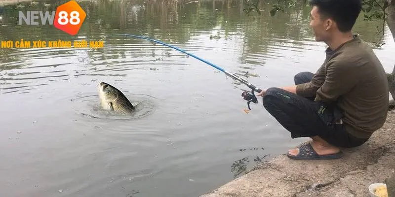 Mơ Thấy Câu Cá - Đánh Lô Đề Gì Dễ Trúng Thưởng Lớn 2025 3 Mơ Thấy Câu Cá đánh con lô đề nào dễ trúng